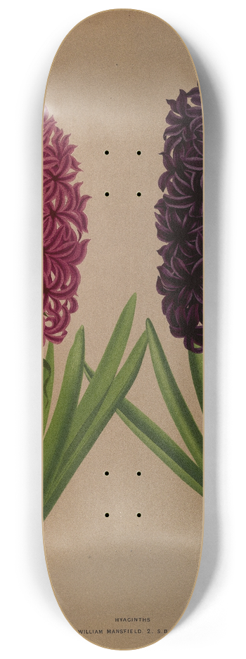 Arentina Hendrica Arendsen - Hyacinths 12 8.25 inch art skate deck