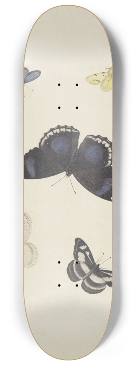 Pieter Withoos - Five butterflies 8.25 inch art skate deck
