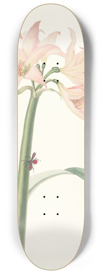 Priscilla Susan Bury - Amaryllis Pulverulenta 8.25 inch art skate deck