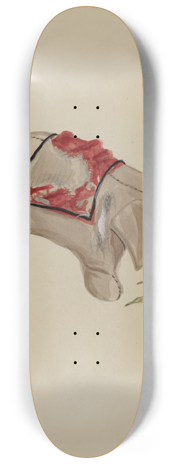 Raoul Du Bois - Elephant 8.25 inch art skate deck