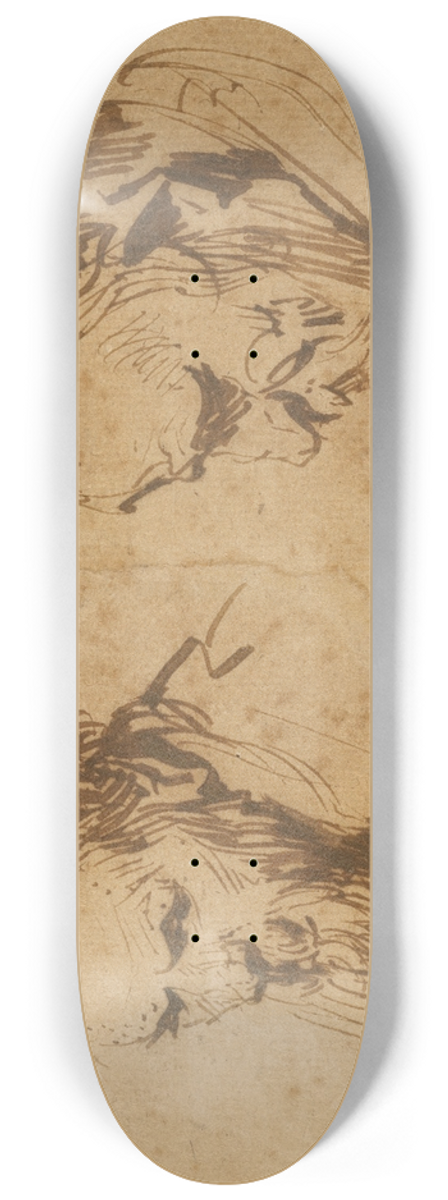Rembrandt van Rijn - Two Studies of the Head of an Old Man 8.25 inch art skate deck