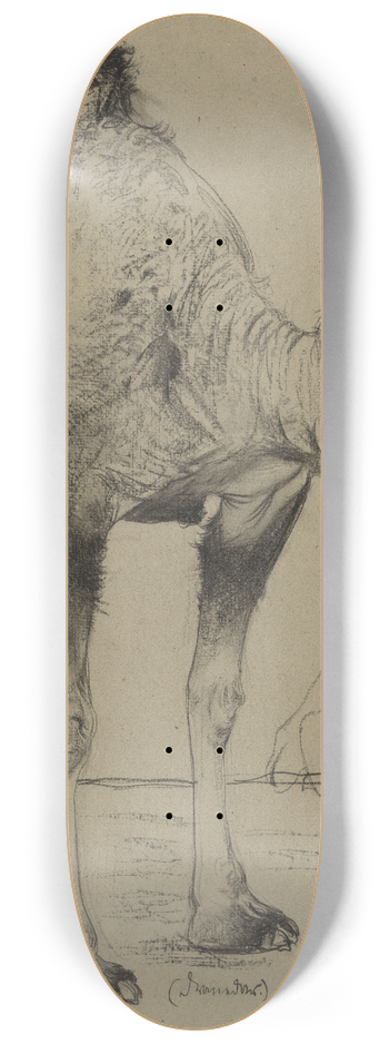 Richard Mller - Dromedary 8.25 inch art skate deck