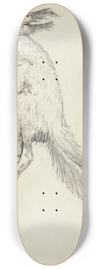 Richard Nicolas Roland Holst - Dode eekhoorn 8.25 inch art skate deck