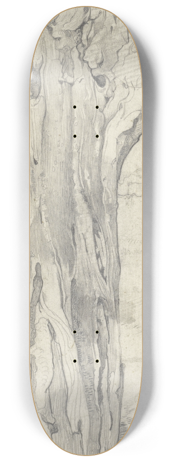 Richard Nicolas Roland Holst - Knotwilg 8.25 inch art skate deck