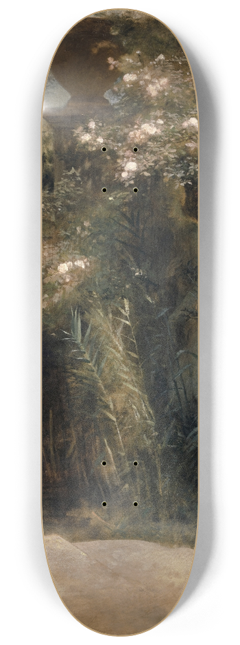 Arnold Bcklin - Venus Abandoned 8.25 inch art skate deck