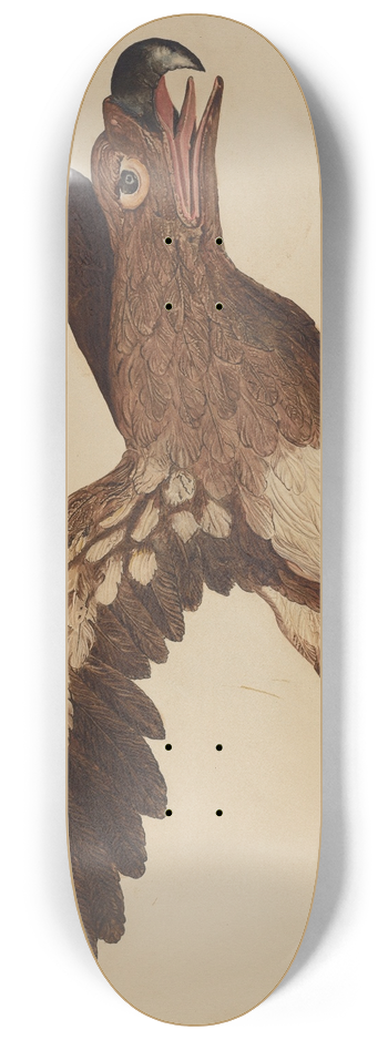 Robert Gilson - Carved Wooden Eagle 8.25 inch art skate deck