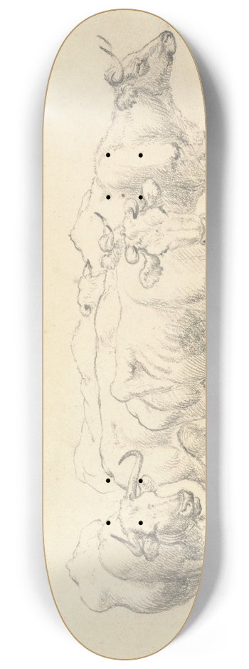 Robert Hills - Study of Cows with Calf 8.25 inch art skate deck