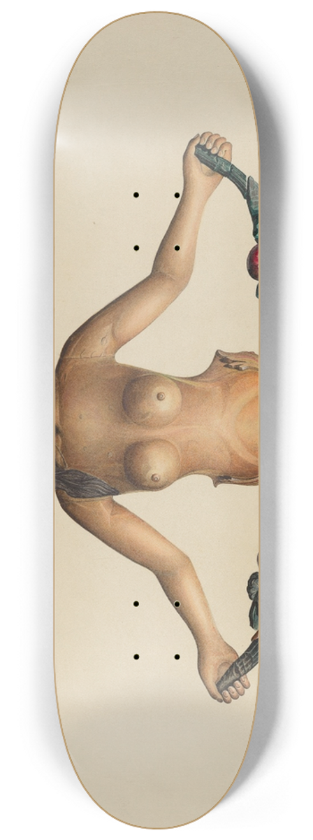 Robert Pohle - Stern Piece 8.25 inch art skate deck