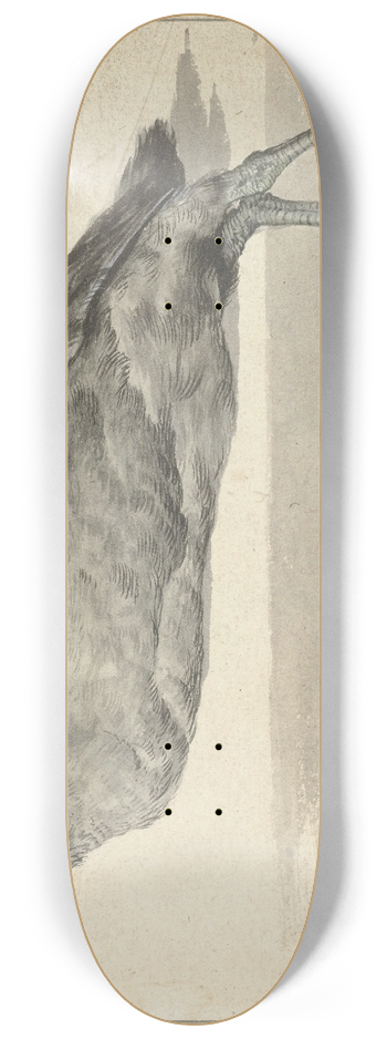 Rochus van Veen - Dode meerkoet 8.25 inch art skate deck