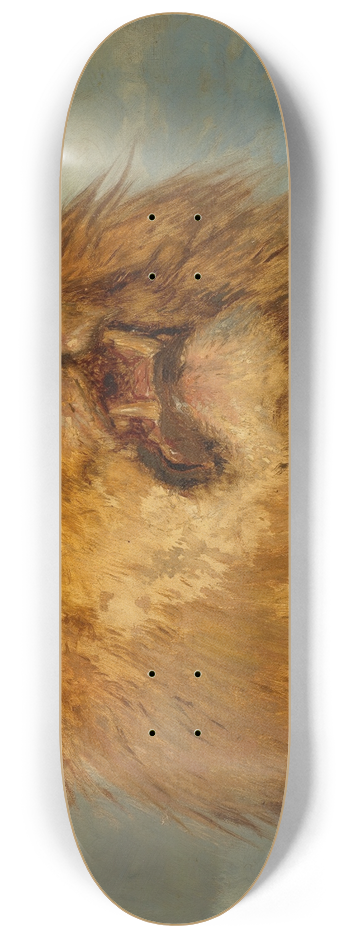 Rosa Bonheur - Tte de lion releve 8.25 inch art skate deck