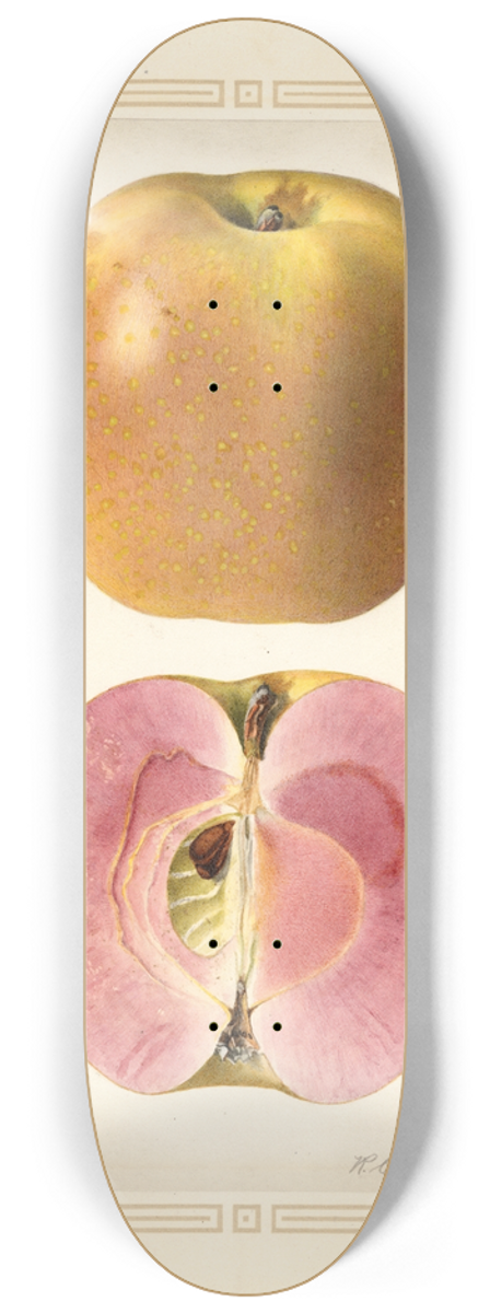 Royal Charles Steadman - Malus domestica 8.25 inch art skate deck