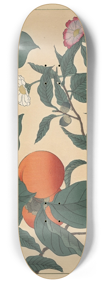 Sakai Hoitsu - Persimmon 8.25 inch art skate deck