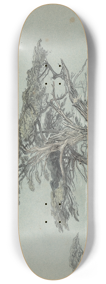 Samuel Colman - Cypress Trees, Cypress Point 8.25 inch art skate deck
