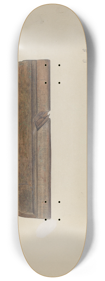 Samuel Faigin - Hollow Plane 8.25 inch art skate deck