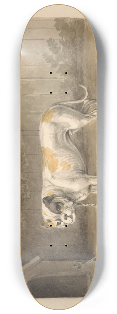 Samuel Howitt - A Bulldog 8.25 inch art skate deck