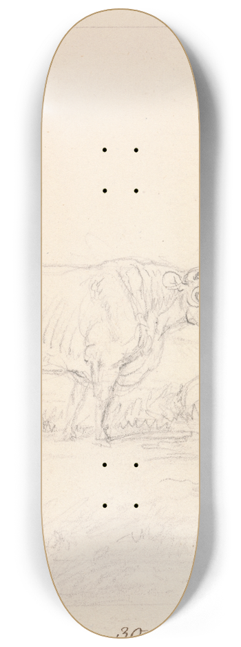 Samuel Howitt - Bull and Cow 8.25 inch art skate deck