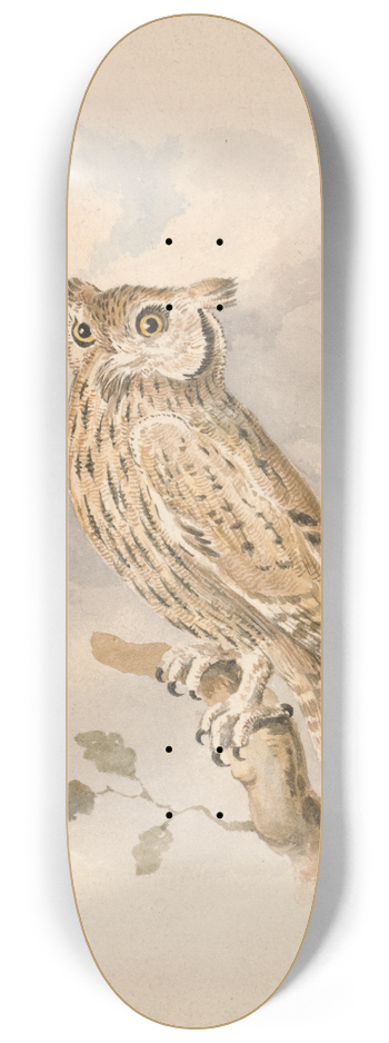 Samuel Howitt - Scops Owl 8.25 inch art skate deck
