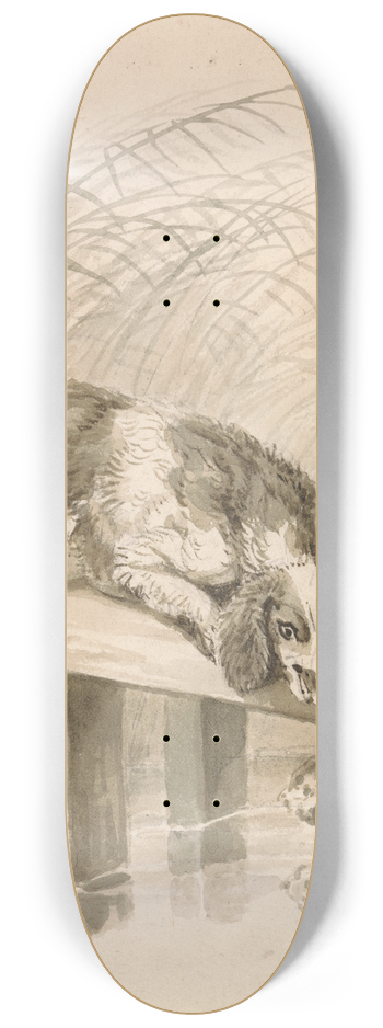 Samuel Howitt - The Dog and The Shadow 8.25 inch art skate deck