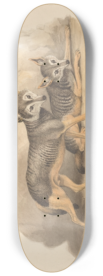 Samuel Howitt - Two Hyenas 8.25 inch art skate deck