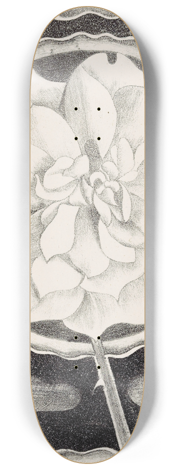 Samuel Jessurun de Mesquita - Roos 8.25 inch art skate deck