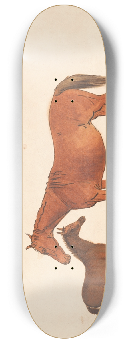 Sawrey Gilpin - Chestnut Mare and Foal 8.25 inch art skate deck