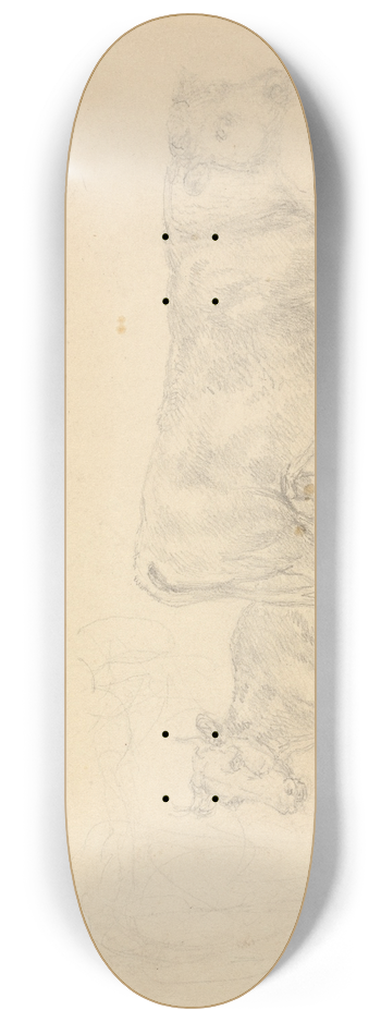 Sawrey Gilpin - Study of cattle, bull in foreground facing right 8.25 inch art skate deck