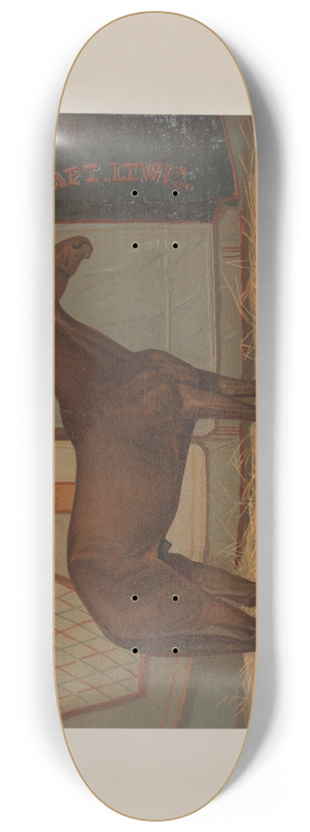Scott Leighton - Captain Lewis 8.25 inch art skate deck