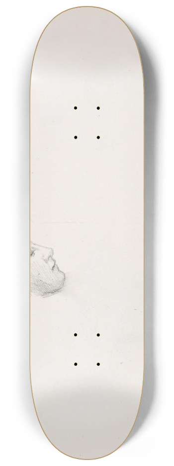 Signe Scheel - Profil 8.25 inch art skate deck