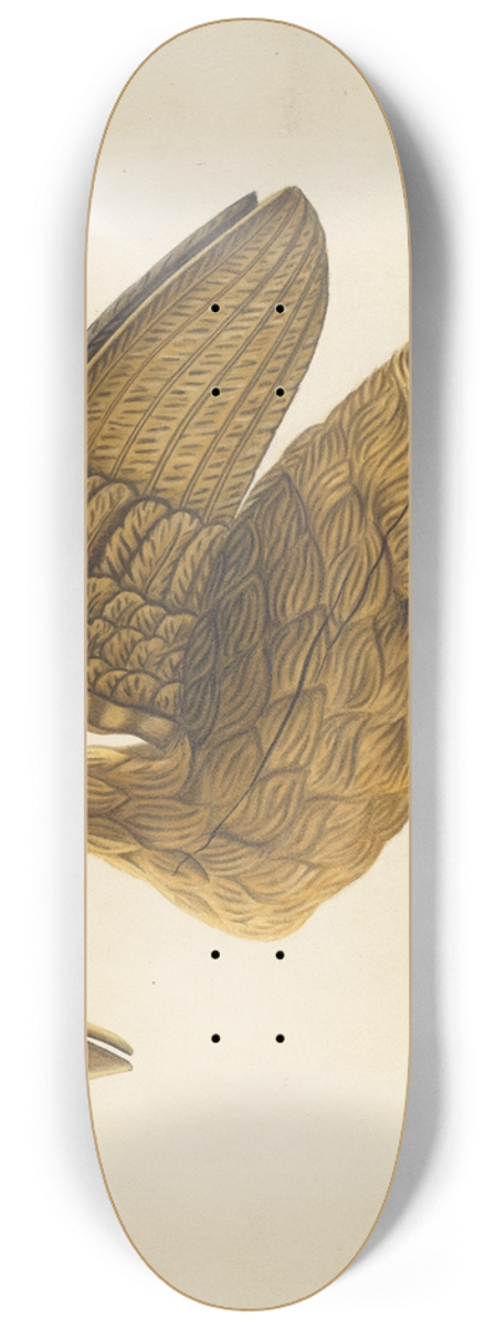 Sumner Merrill - Carved Goose 8.25 inch art skate deck
