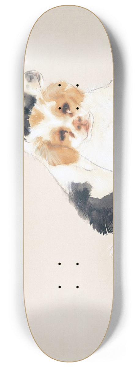 Takeuchi Seih - Fireside 8.25 inch art skate deck