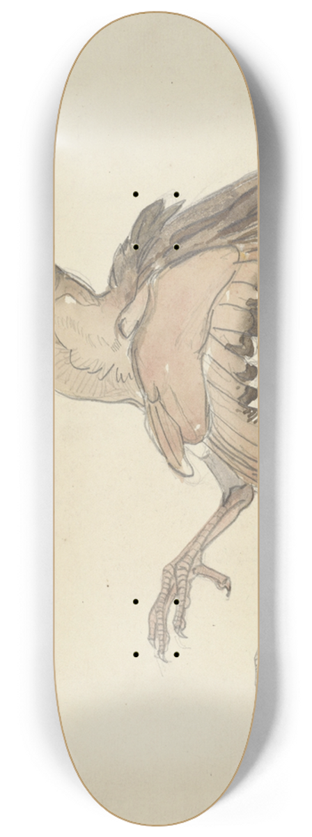 Theo van Hoytema - Dood vogeltje 8.25 inch art skate deck