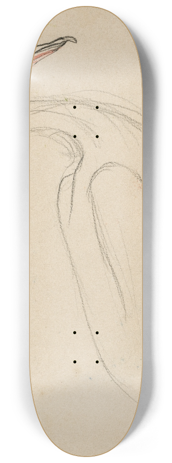 Theo van Hoytema - Een pelikaan 8.25 inch art skate deck