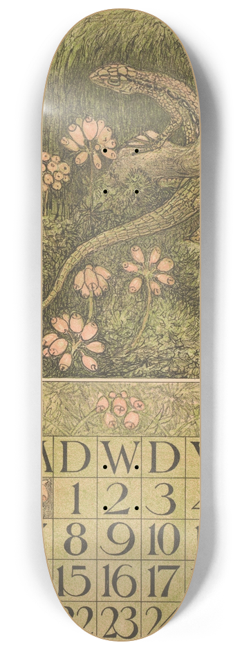 Theo van Hoytema - Kalenderblad augustus met hagedis en dopheide 8.25 inch art skate deck