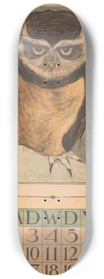 Theo van Hoytema - Kalenderblad januari met uil 8.25 inch art skate deck