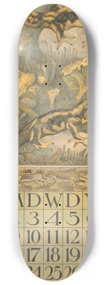 Theo van Hoytema - Kalenderblad oktober met salamanders 8.25 inch art skate deck