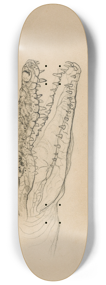 Theo van Hoytema - Kop van een krokodil 8.25 inch art skate deck