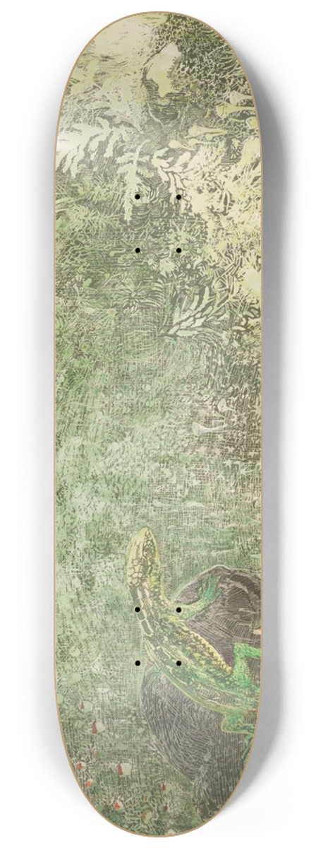 Theo van Hoytema - Lizard On A Stone 8.25 inch art skate deck