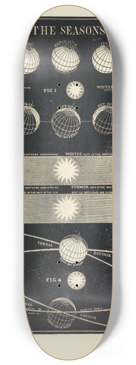 Asa Smith - The Seasons 8.25 inch art skate deck