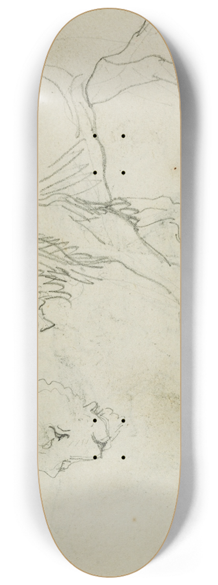 Thodore Gricault - Lion walking, head of a lioness 8.25 inch art skate deck