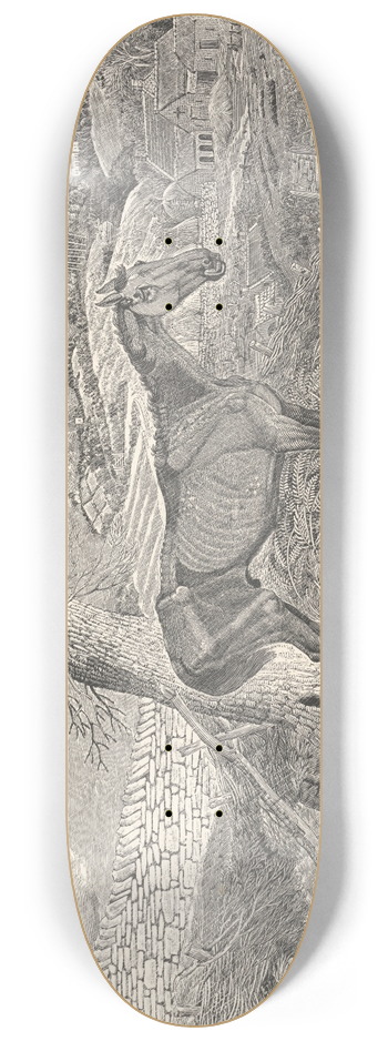 Thomas Bewick - Waiting for Death 8.25 inch art skate deck
