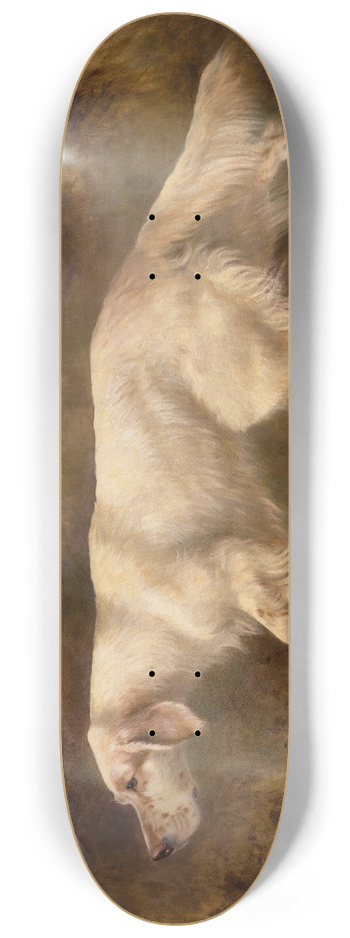 Thomas Blinks - Mallwyd Ned 8.25 inch art skate deck