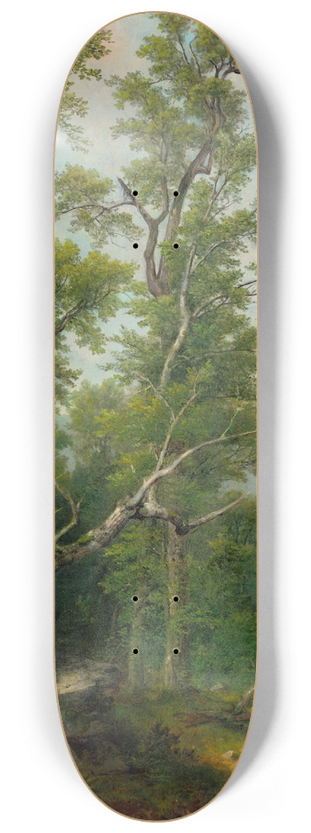 Asher Brown Durand - Study ofTrees 8.25 inch art skate deck