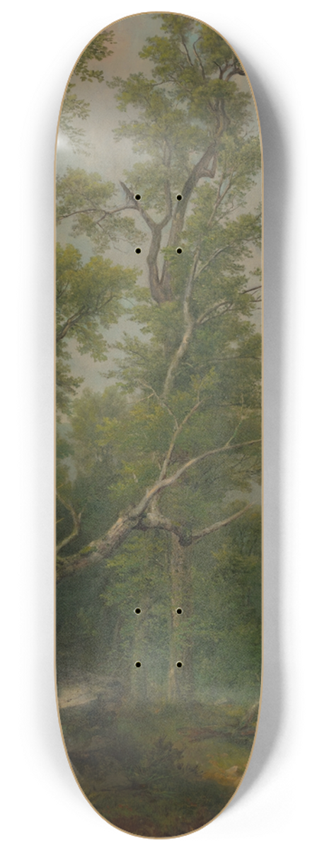 Asher Brown Durand - Study ofTrees 8.25 inch art skate deck