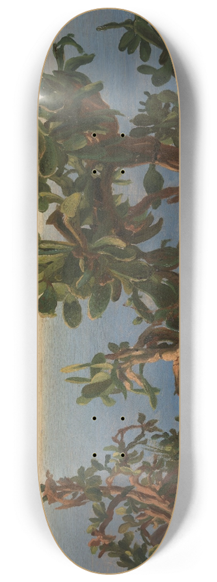 Thomas Fearnley - Cactus 8.25 inch art skate deck