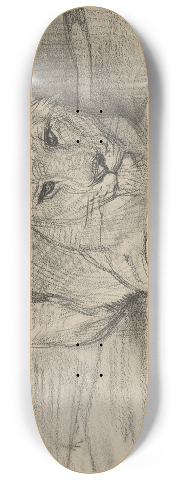 August Alleb - Liggende leeuwin 8.25 inch art skate deck