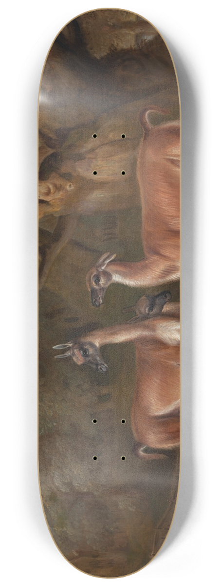 Thomas Weaver - Llamas and a fox in a wooded landscape 8.25 inch art skate deck