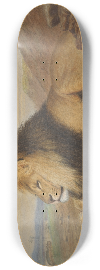 Thomas William Wood - A Lion 8.25 inch art skate deck