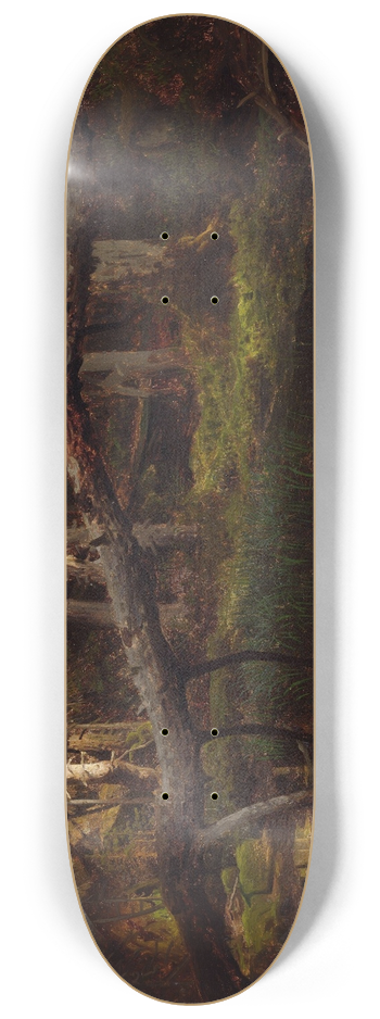 August Cappelen - Study of a Decaying Wood 8.25 inch art skate deck