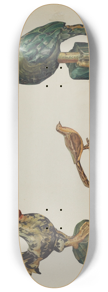 Victor F. Muollo - Wooden Rooster, Pheasant, and Parrot 8.25 inch art skate deck