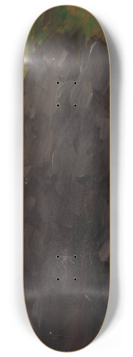 Wadysaw Ostrowski - Landscape 8.25 inch art skate deck